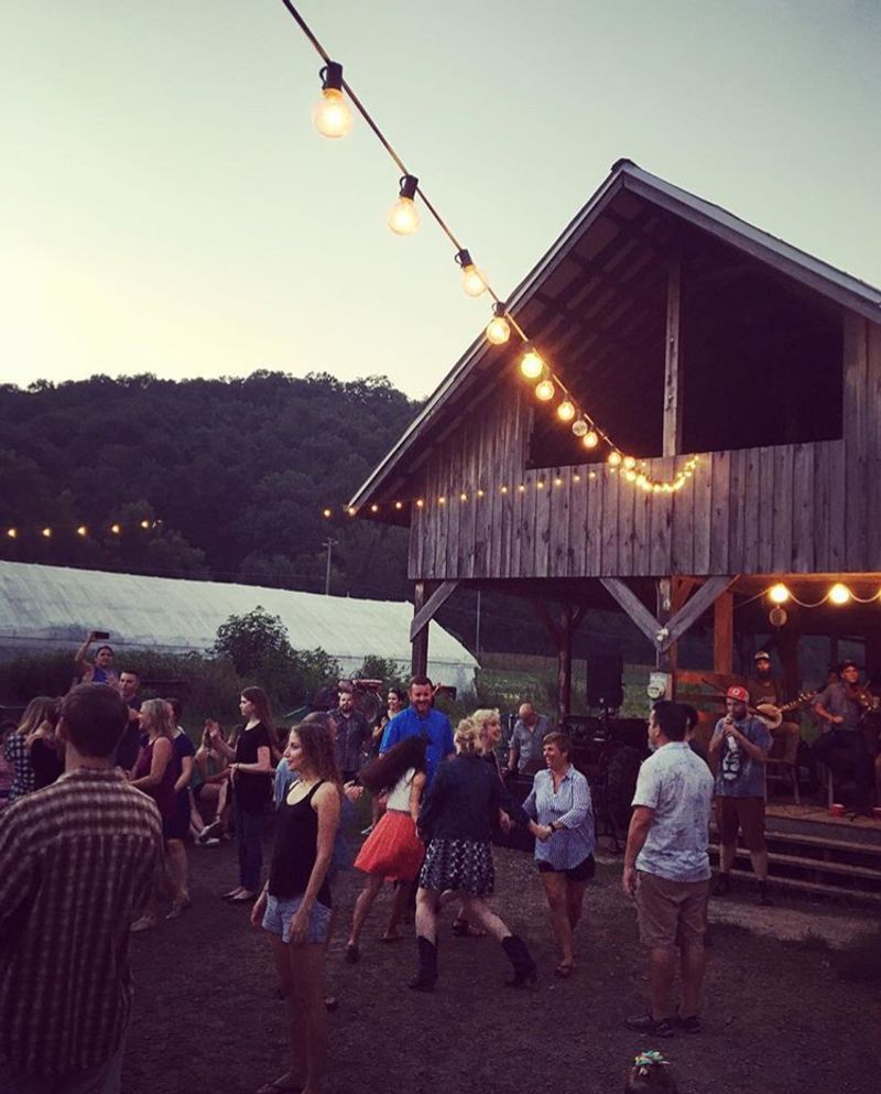 Bells Bend Farms (Humble Flowers) — Nashville Area