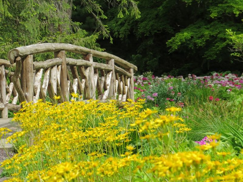 Leonard J. Buck Garden, Far Hills, New Jersey