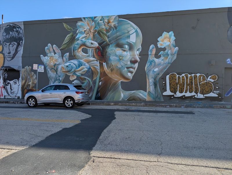 Explore Wynwood's Street Art