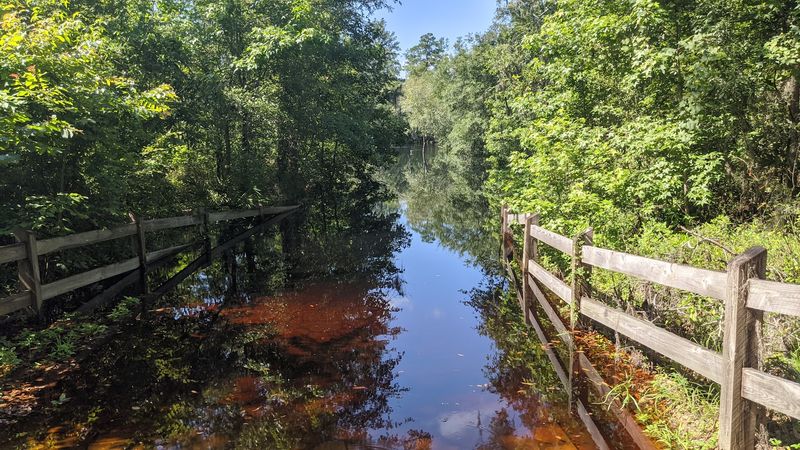 Kayaking and Canoeing on the Suwannee