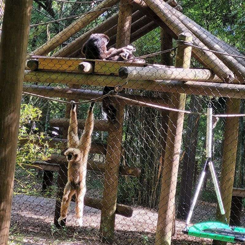 What Makes the Atmosphere Feel Different