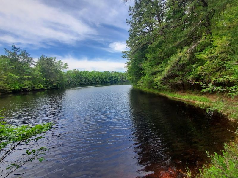 A Cemetery, a Creek, and an Island-Like Clearing