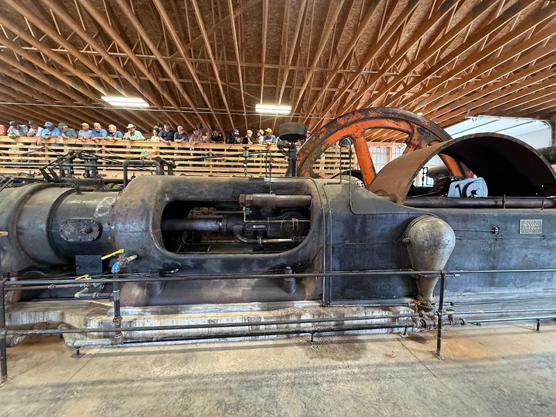 Live Demonstrations That Make History Feel Real