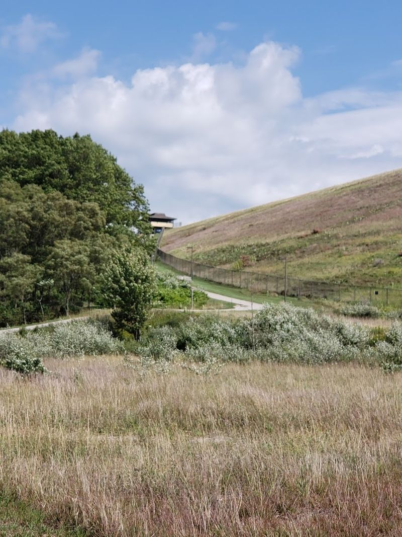 A Pavilion Built for Gatherings of Every Kind