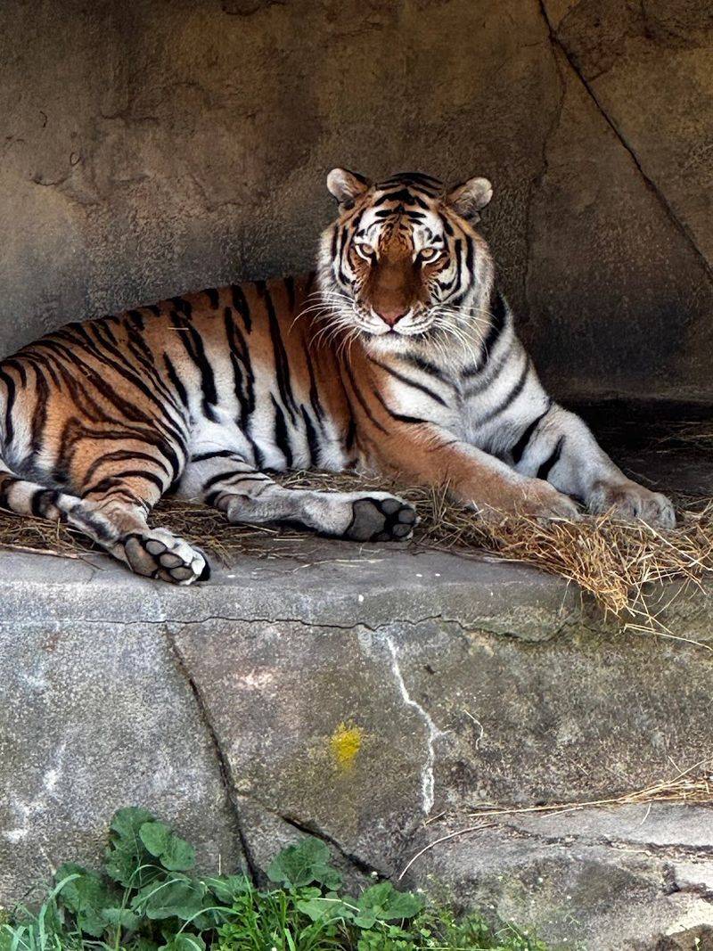 Columbus Zoo and Aquarium - Powell