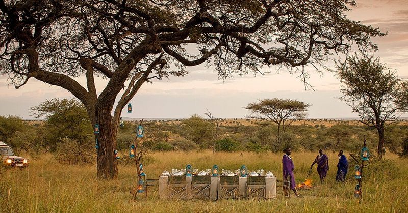 Serengeti Plains (Tanzania)