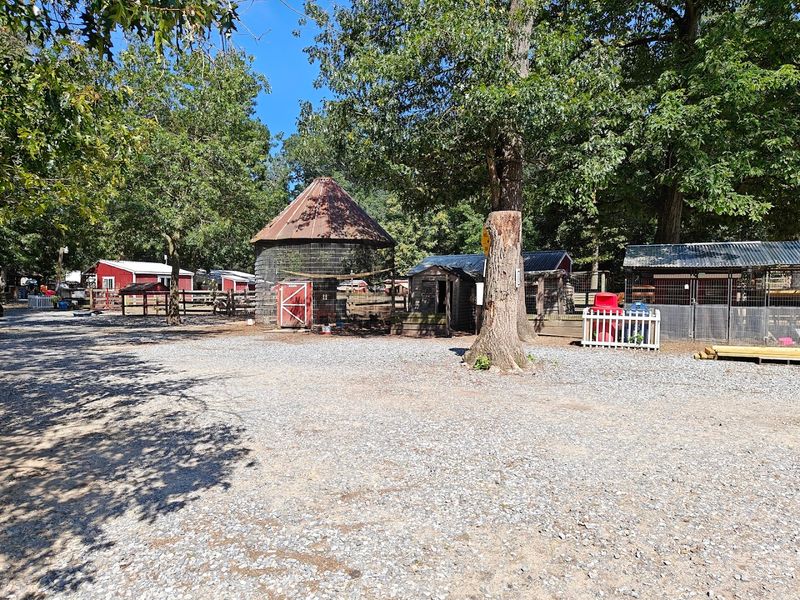 The Snack Bar and On-Site Shop