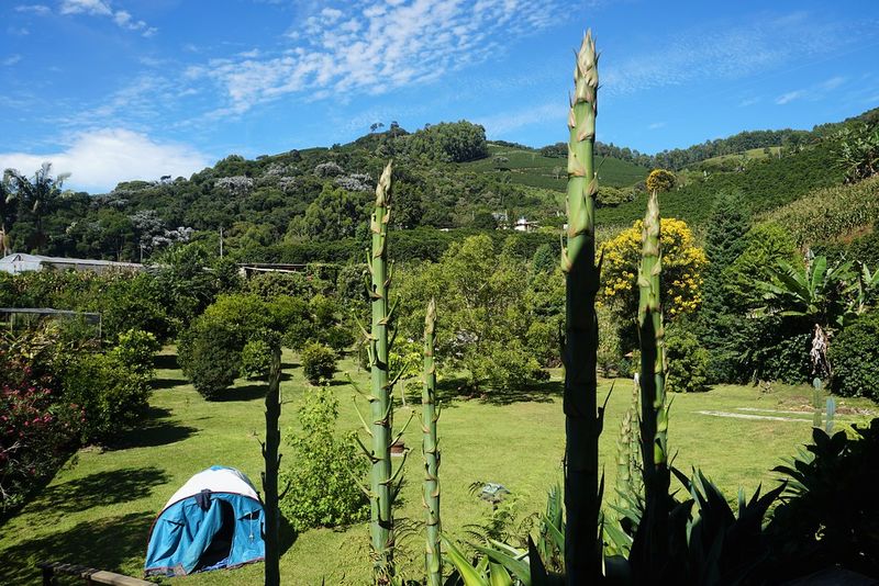 Brazil (Amazon Region)