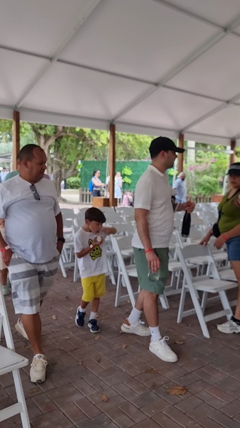 Best Times to Visit and Practical Tips