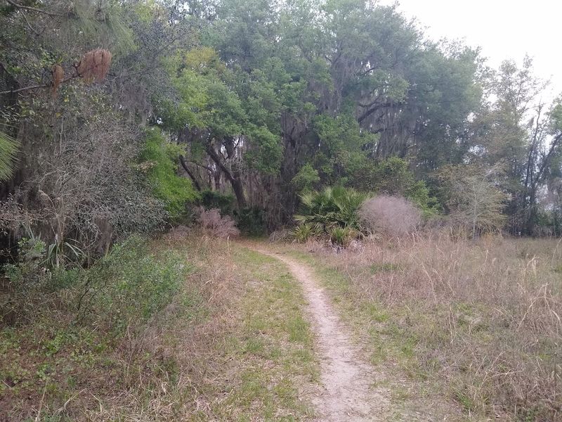 Best Times to Visit and What to Expect