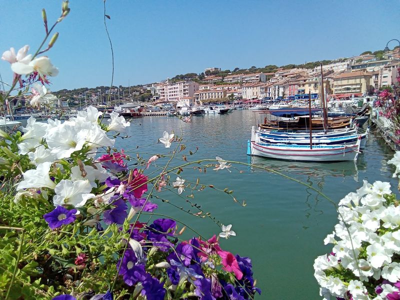 Cassis (Provence Coast)