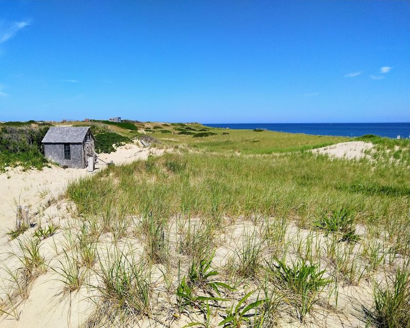 Provincetown Dunes