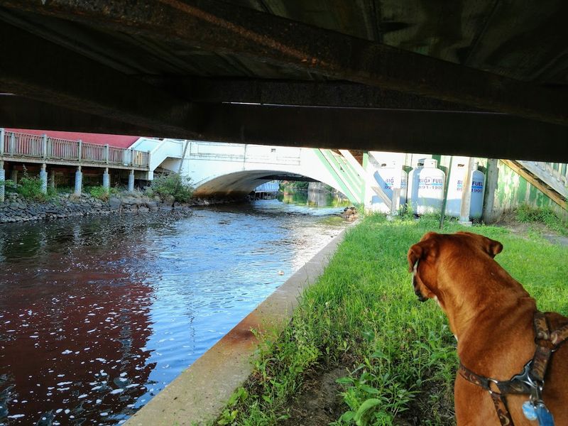 Saranac Lake, New York