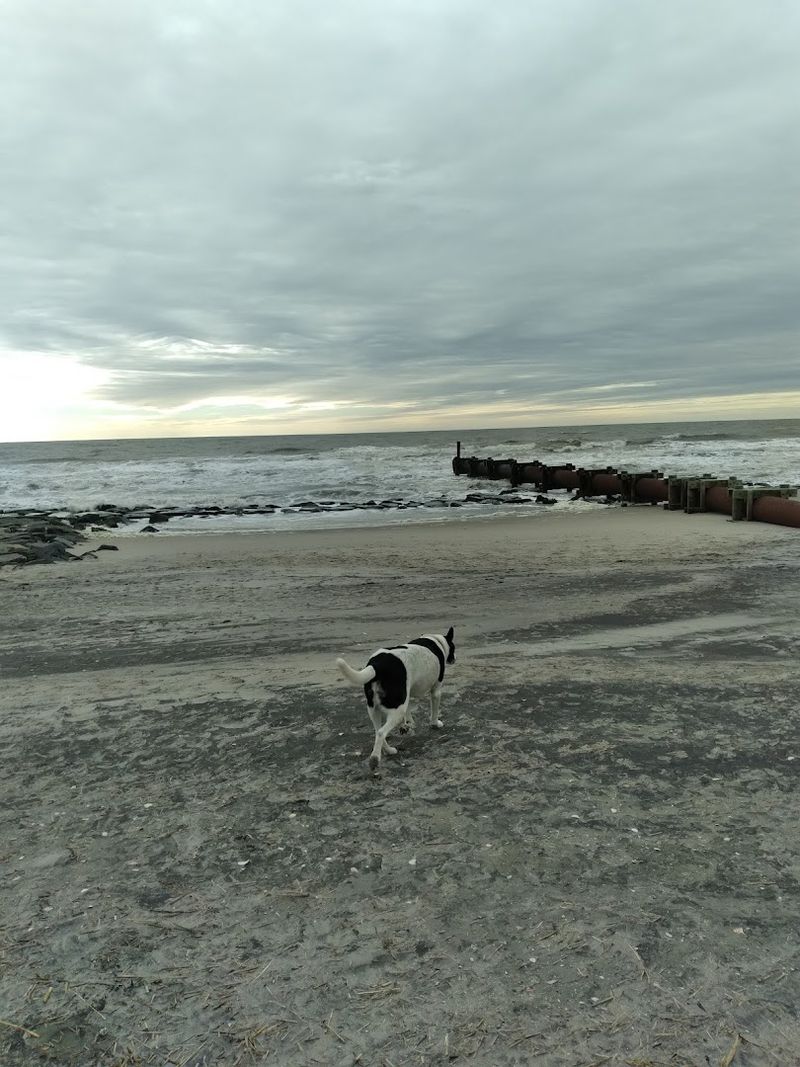 Ocean City Beach, Ocean City, NJ