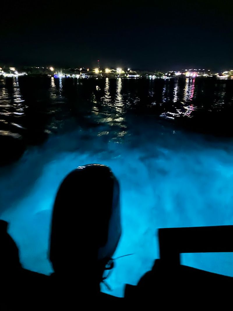 Luminous Lagoon – Jamaica (Glowing Green-Blue Water)