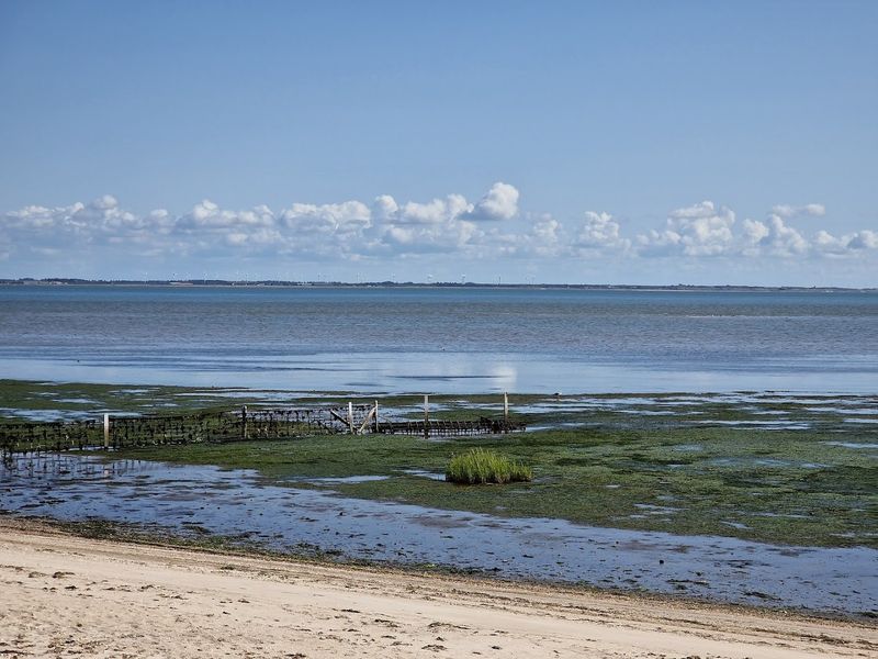 Wadden Sea National Park, Denmark