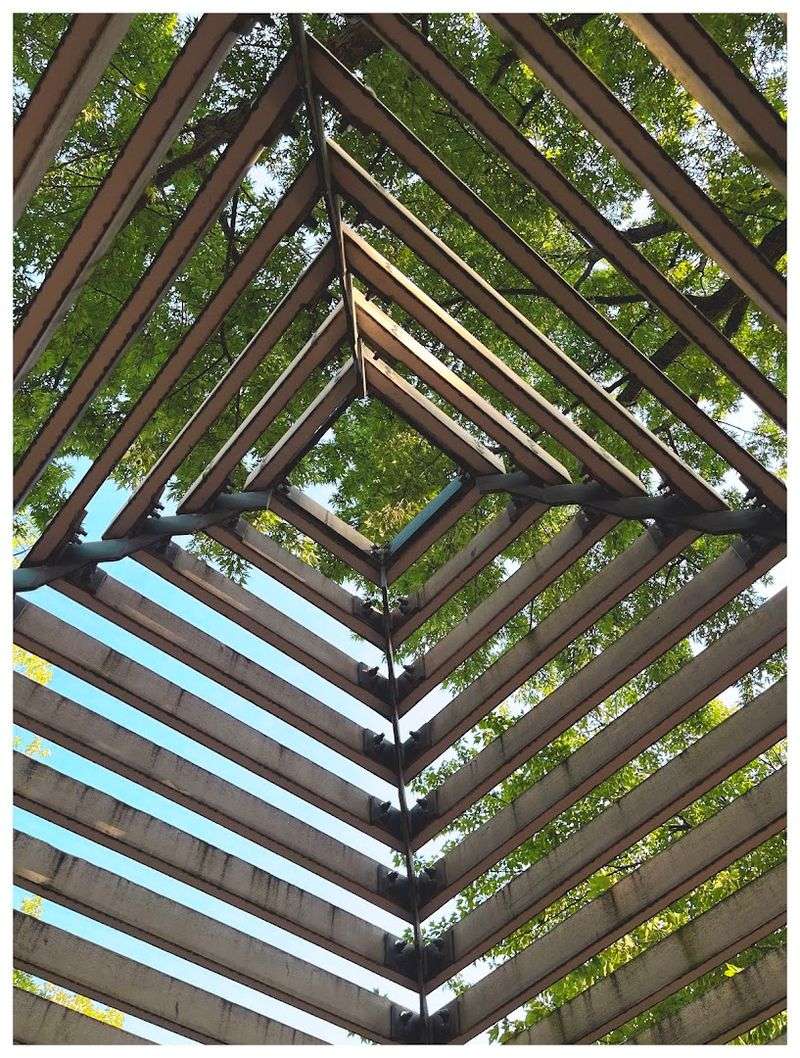 Seasonal Events That Keep the Calendar Full All Year