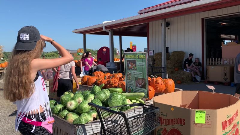 Lynd Fruit Farm Market & Bakery - Pataskala