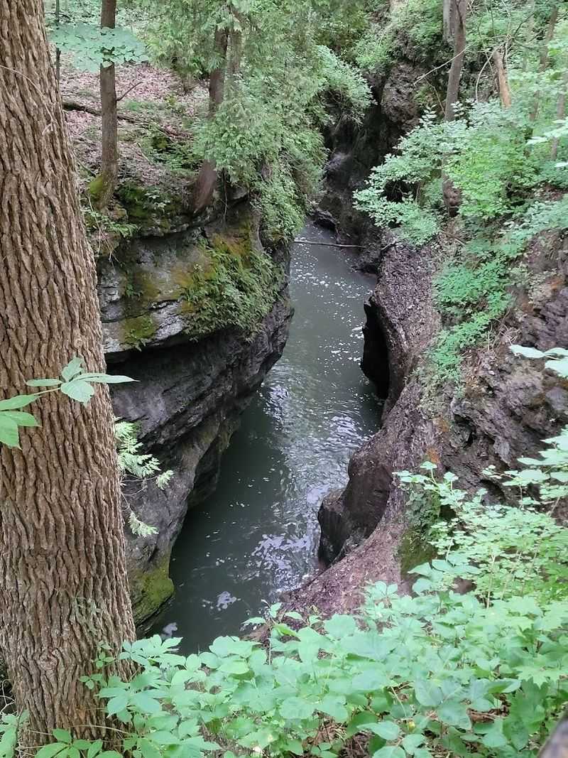 John Bryan State Park Campground — Yellow Springs