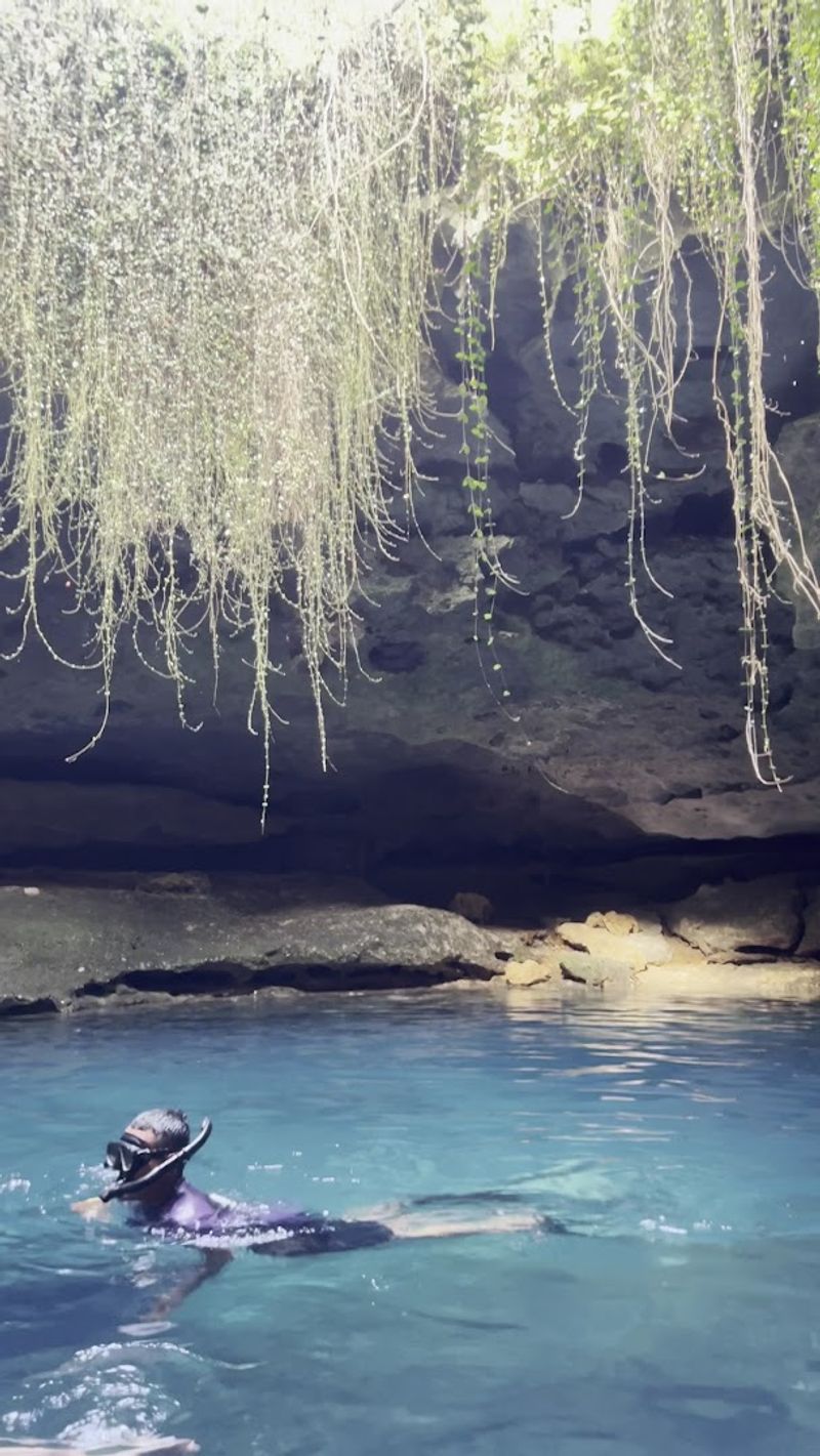 The Wildlife That Calls This Place Home