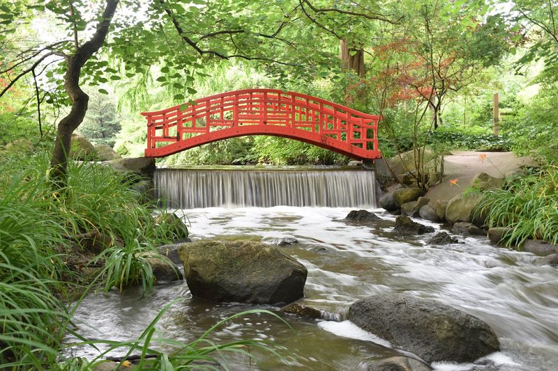 The Japanese Garden and Its Peaceful Bridge