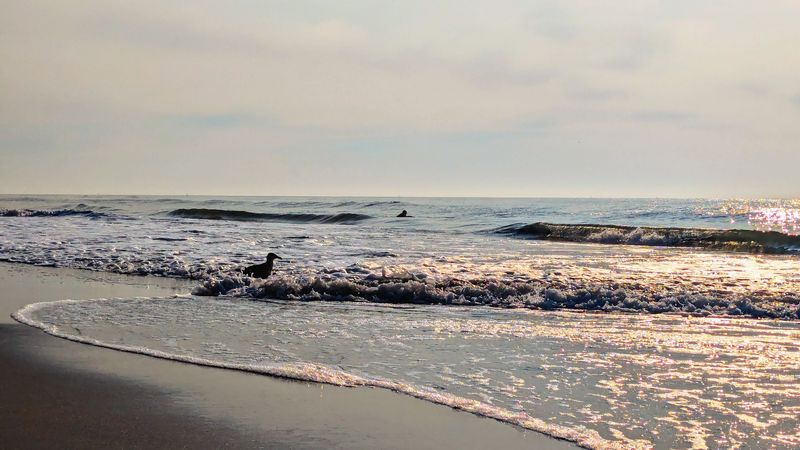Avalon Beach, Avalon, NJ