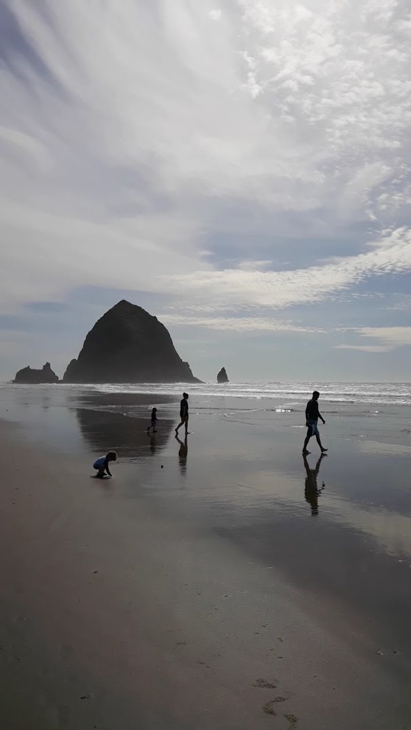 Wildlife on the Beach: Elk, Bunnies, and More Than You Expect