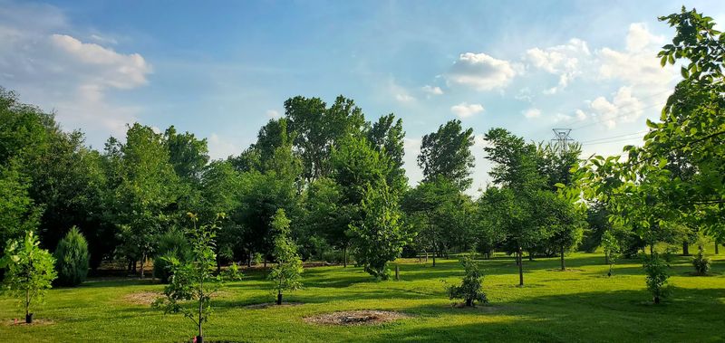 How to Make the Most of Your Visit