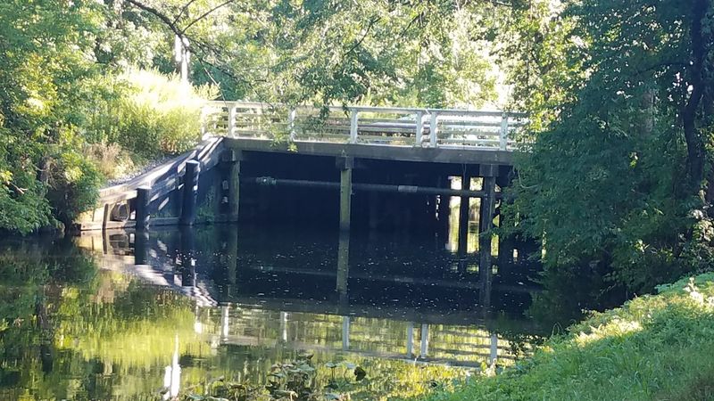 Why Seniors Keep Coming Back: The Practical Appeal