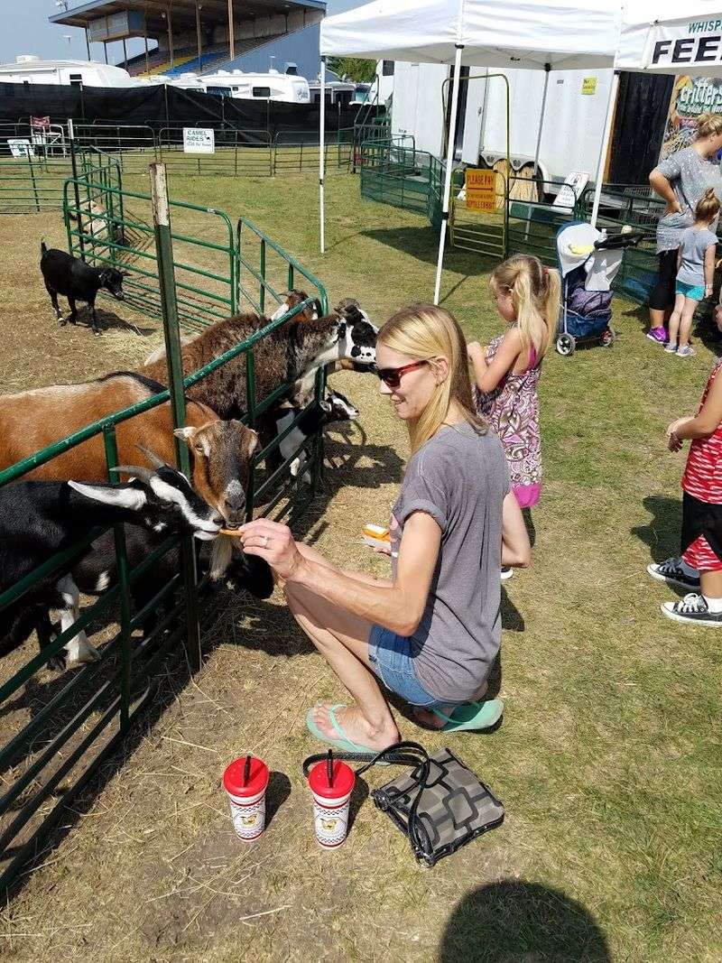 Vendors, Fair Food, and the Art of Pacing Yourself