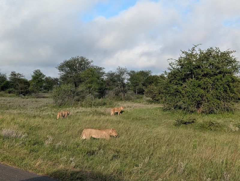 Kruger National Park, South Africa