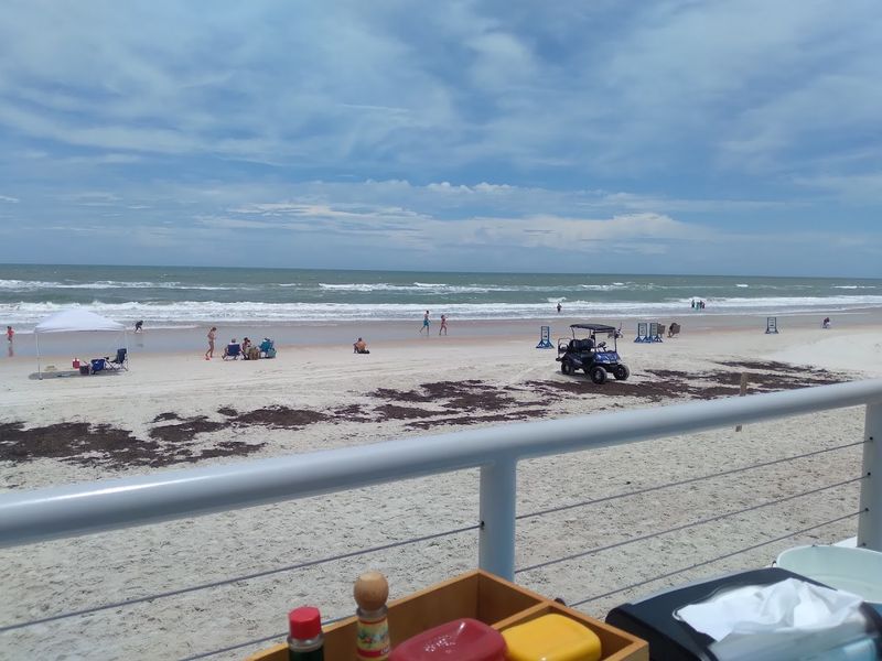 Wildlife Surprises and Natural Moments