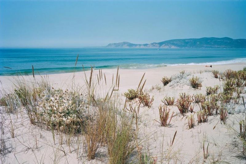 Comporta, Setúbal Peninsula