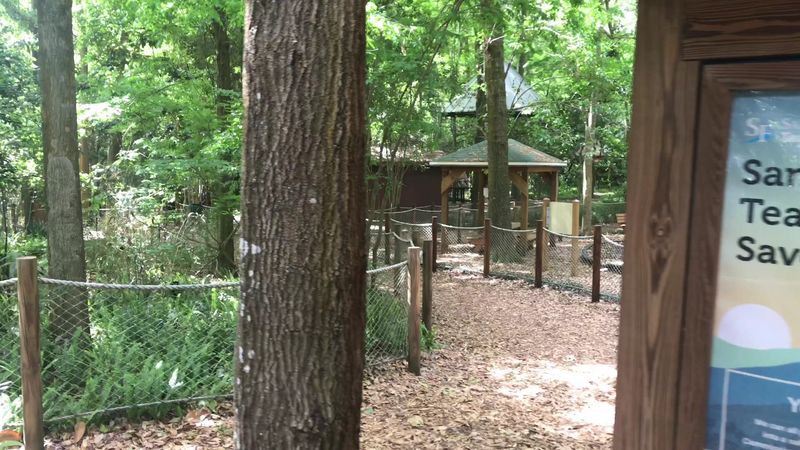 Admission Prices That Actually Make Sense