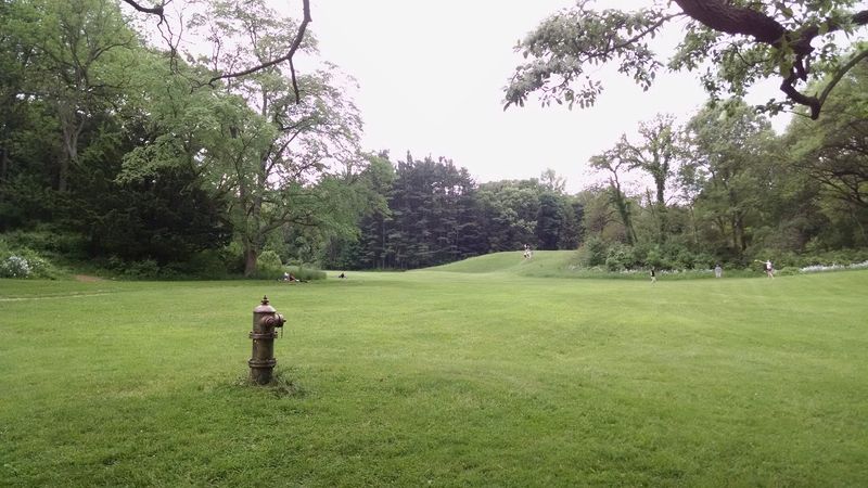 Prairie Restoration Work That Goes Deeper Than It Looks