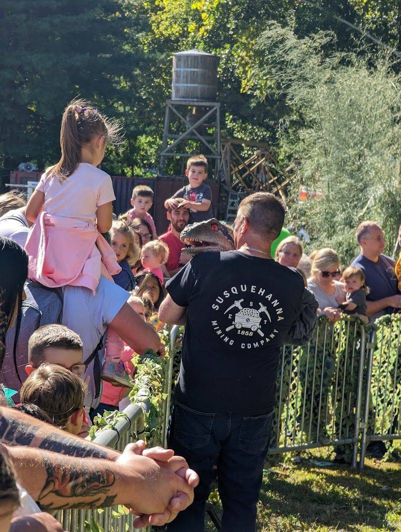 The Storytelling and Live Presentation