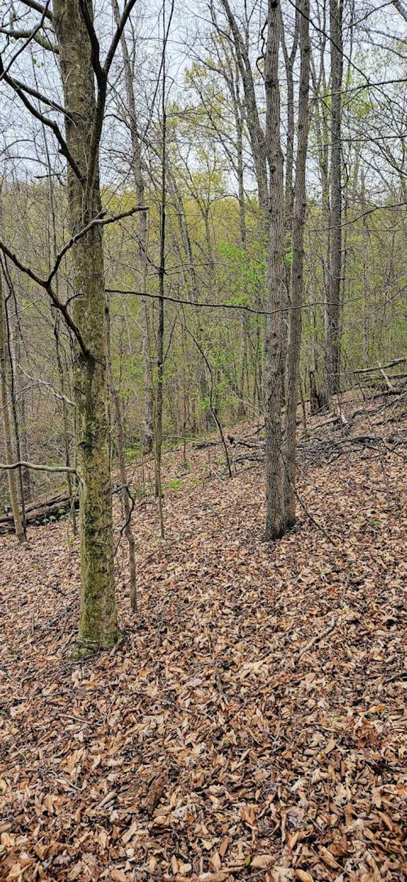 Morgan Sisters Campground — Wayne National Forest