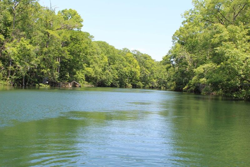Wakulla River