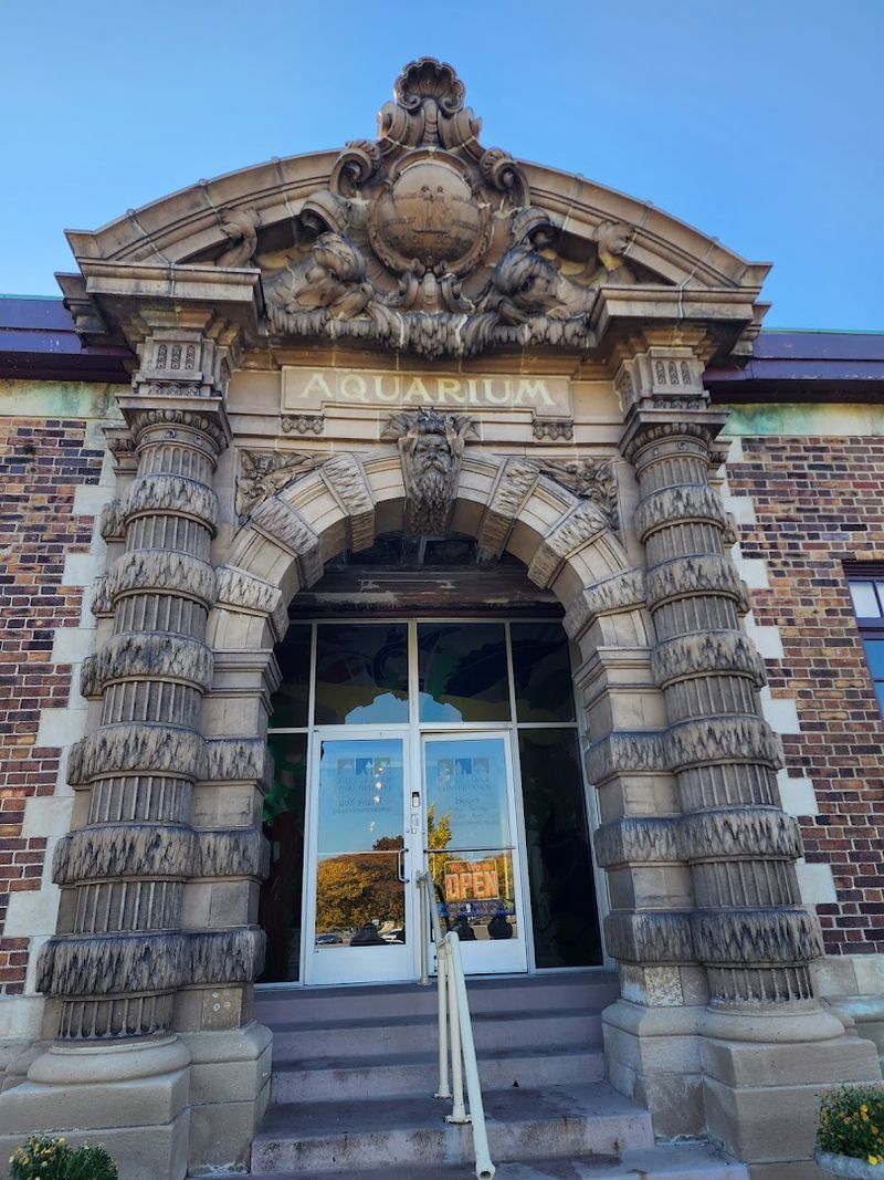 A Comeback Worth Applauding Quietly