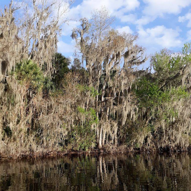 Birdwatching in a Serious Way