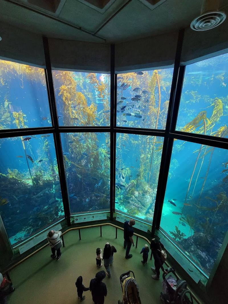Monterey Bay Aquarium, Monterey, California