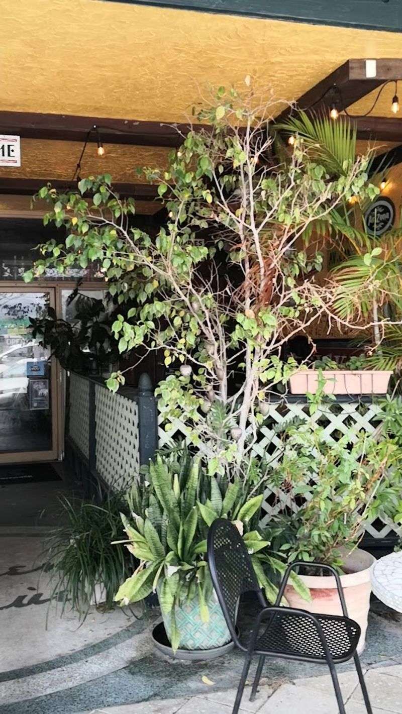 The Outdoor Seating Setup