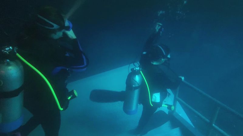 Scuba Diving at One of Florida's Most Unique Sites