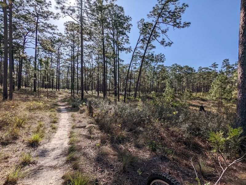 Off-Road Trails and Jeep Adventures