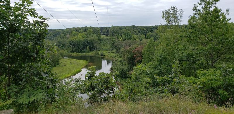 Wildlife You Might Spot Along the River Corridor