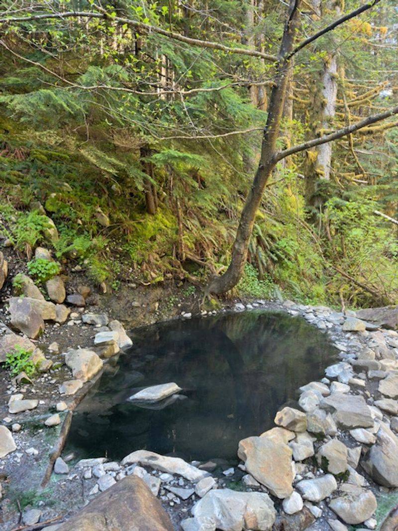 Olympic Hot Springs Lower Pools Area - Near Elwha River