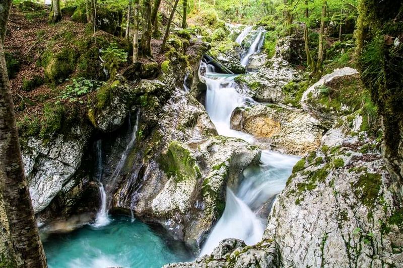 Šunik Water Grove, Lepena Valley