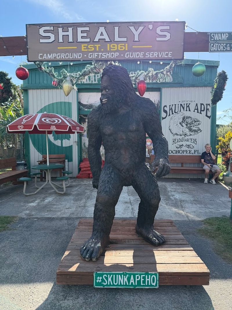 Skunk Ape Research Headquarters - Ochopee