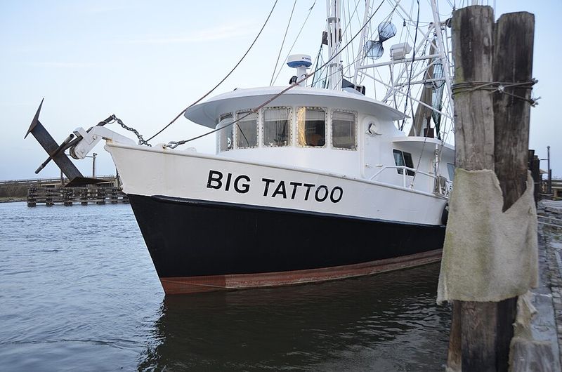 You Might Fall in Love With It Anyway