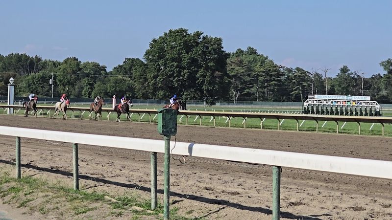 Admission, Parking, and Practical Details